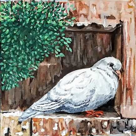 painting, white dove, white pigeon, Jerusalem, Western Wall